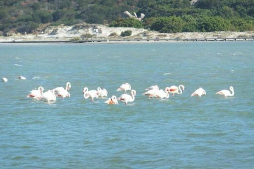 Confort E Relax Villasimius Luaran gambar